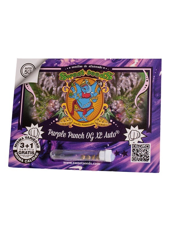 Purple punch og XL auto (5) sweet seeds