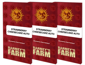 Strawberry Cheescake Auto (3) Barney's Farm