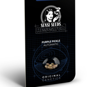 Purple pickle (10) auto Sensi Seeds