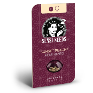 Sunset peach (5) Sensi Seeds