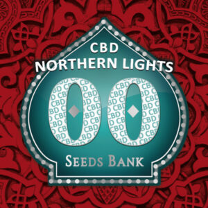 Northern Lights (3)