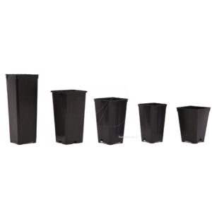 Maceta cuadrada (12 x 12 x 20 cm) (90 uds) (2 L)