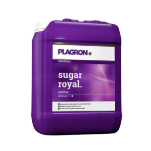 Sugar royal