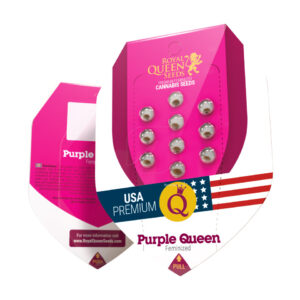 Purple Queen