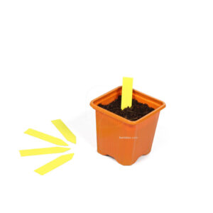 Etiquetas de picar amarilla 10 x 2 cm (100 uds)