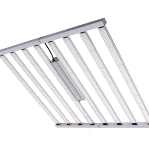 Sistema LED Spider King 1000 W