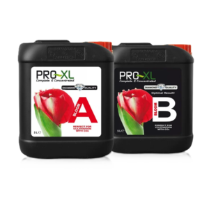 Bloom A+B 5 L