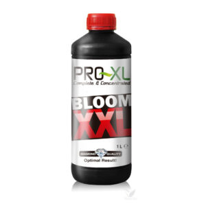 Bloom xxl 1 l