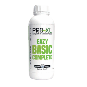 Eazy basic complete Pro-XL