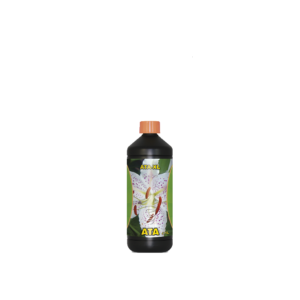 Xl 1 l