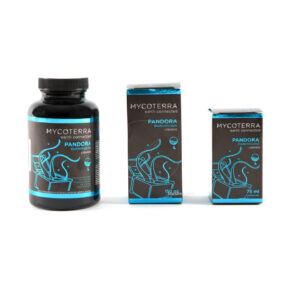 Pandora l 300 ml