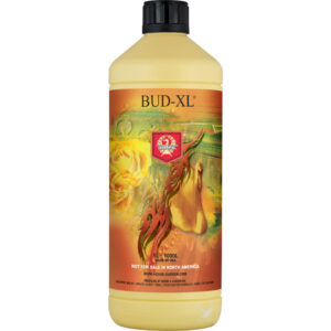 Bud xl 5 l