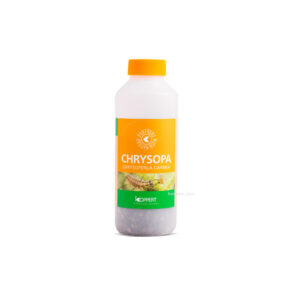 Chrysopa 1000 (pulgon)
