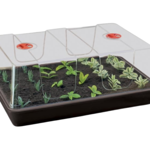 Propagador grande (58 x 40 x 22,5 cm) Garland
