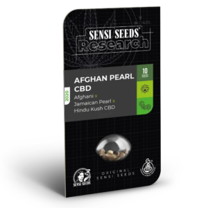 Semillas de Afghan Pearl CBD Autoflorecientes (10)