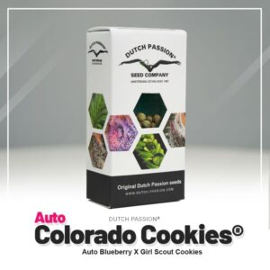 Auto colorado cookies 100% (3)