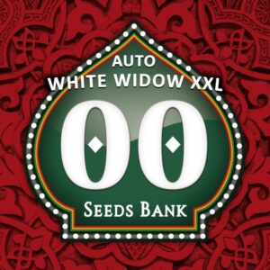 Auto white widow xxl 3 semillas 00 seeds