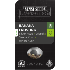 Banana frosting (10) Sensi Seeds