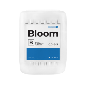 BLoom B 18,92 L
