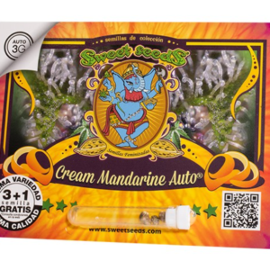 Cream Mandarine Auto