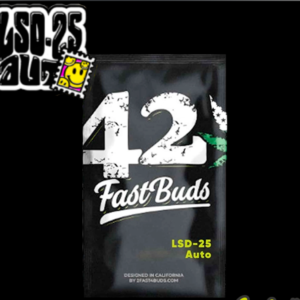 LSD-25 Auto