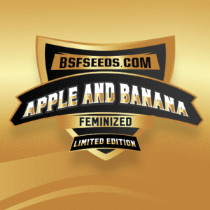 Apple and Banana *LE- X12