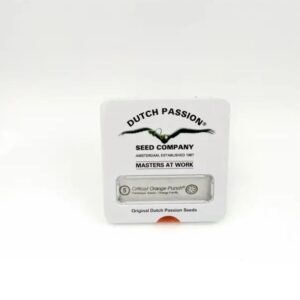 Critical orange punch (3)
