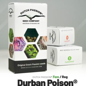Durban poison