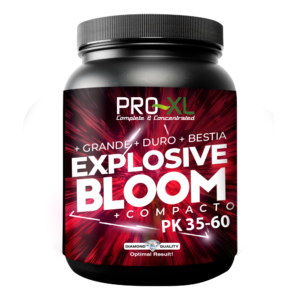 Bloom Explosivo 500 g Pro-XL