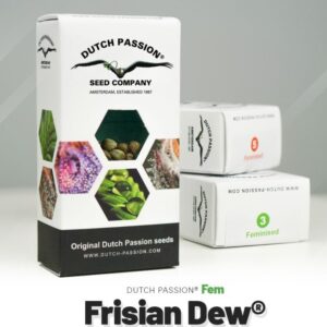Frisian dew (5)