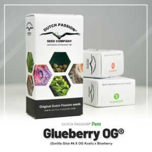 Glueberry o.g (3)