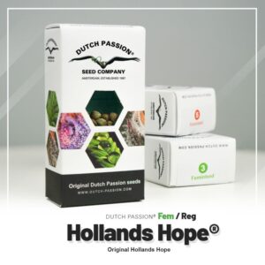 Hollands hope