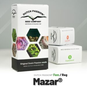 Mazar (3)
