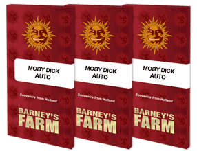 Moby Dick Auto (3) Barney's Farm