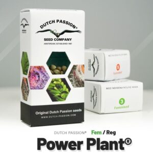 Power Plant®