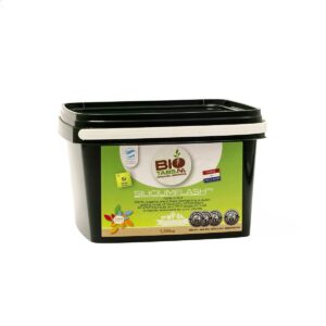 Silicium flash 4500 g