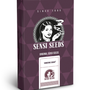Tngerine sugar  (10) 100% Sensi Seeds