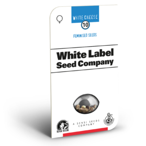 White cheese (10) 100% Sensi Seeds