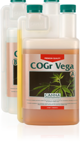 Cogr vega B 5 L Canna