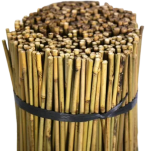 Tutor bambu 1,05 m - 8/10 mm