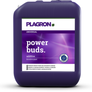 Power Buds 5L Plagron