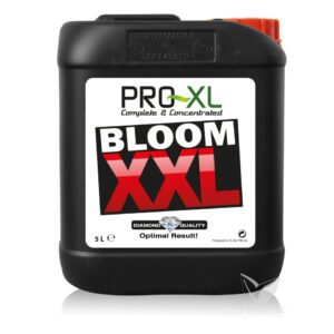 Bloom xxl 5 l