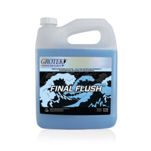 Final flush regular 1 l