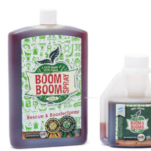 Boom Boom spray 100 ml