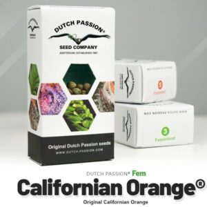 California orange (3)