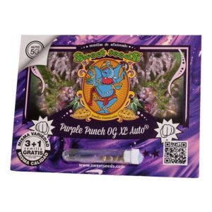 Purple punch og XL auto (3) sweet seeds