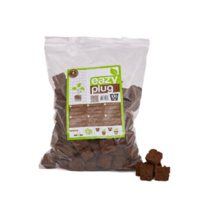 Bolsa Dried Eazy Plug (3,5 x 3,5 x 3 cm) 100 uds HGA