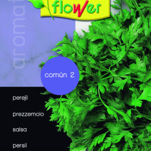 Perejil común 2