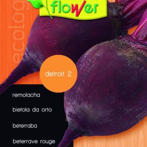 Remolacha detroit 2