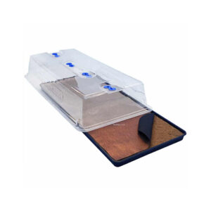 Kit Basico Easy2propagate